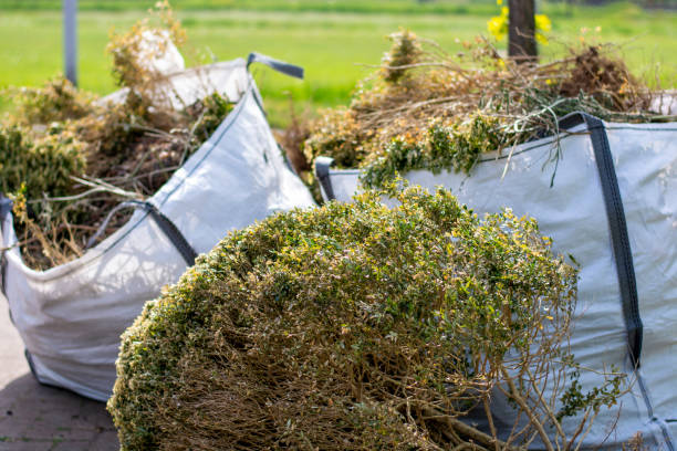 Best Demolition Debris Removal  in Willits, CA